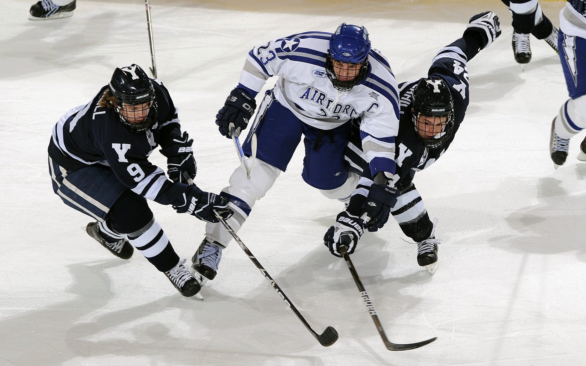 女子篮球青训注重身体素质与技能结合促进成长，女子篮球队训练内容