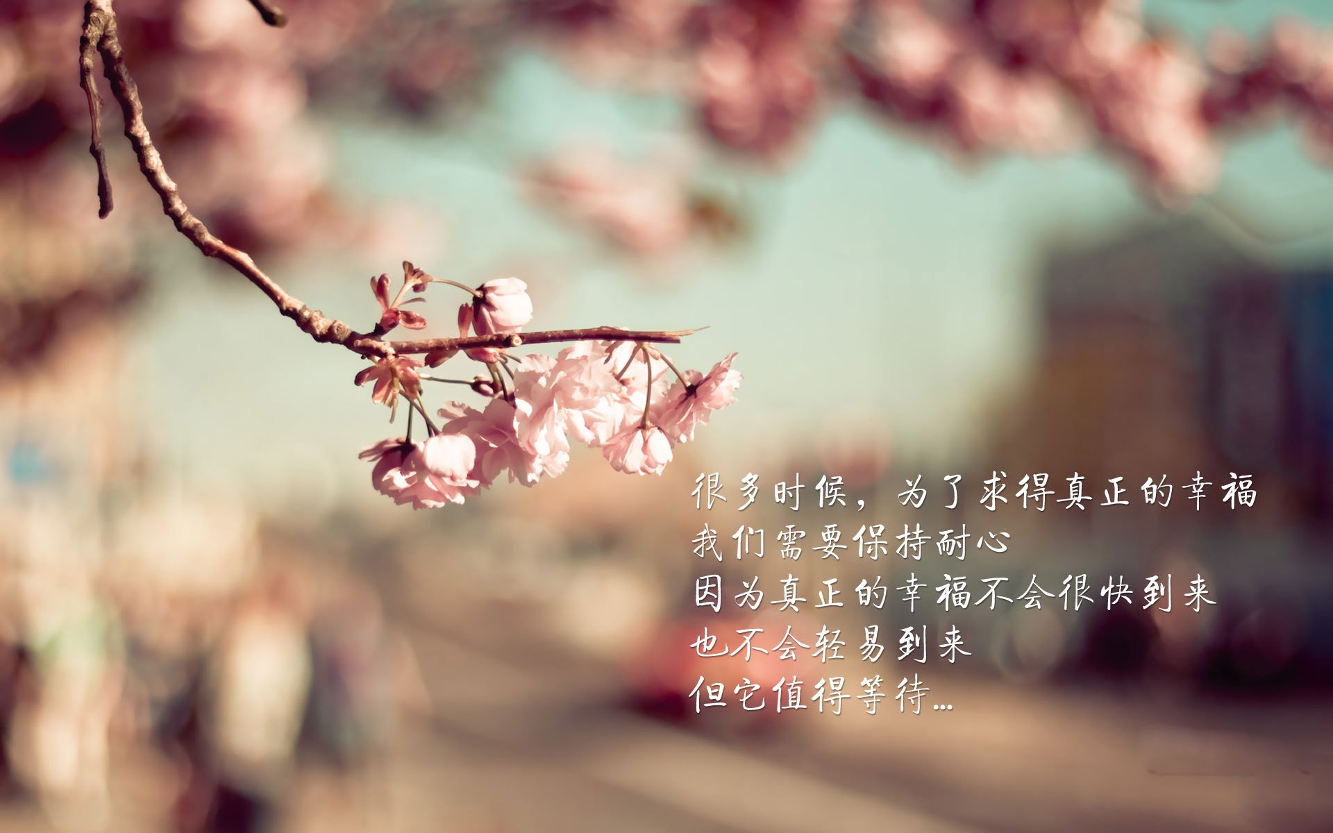 夜间飞行伞体验，俯瞰城市夜色的极致飞翔，夜间飞行 nightfly