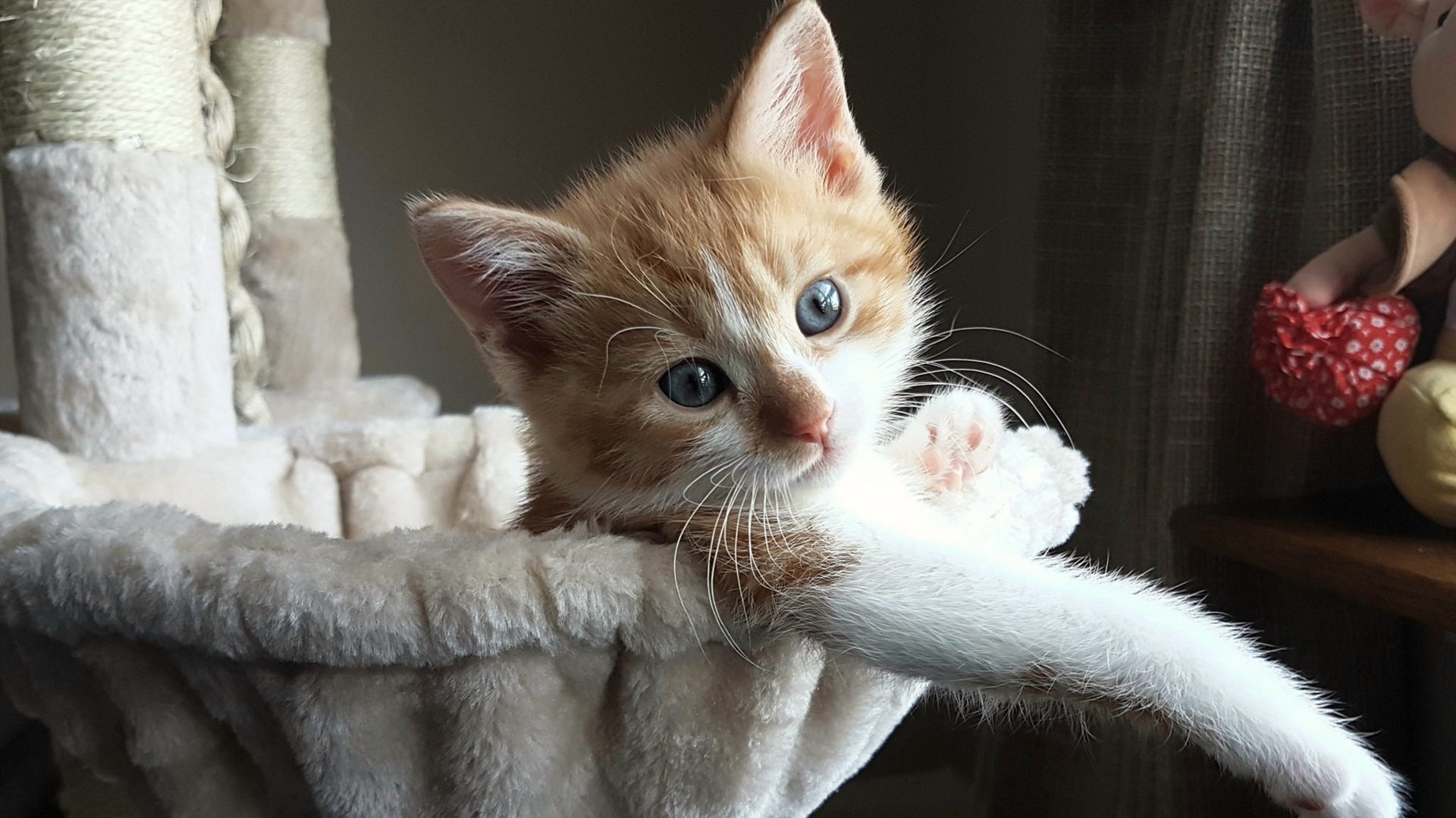 大型沙滩派对与运动狂欢，夏日运动新热点，沙滩派对是什么意思