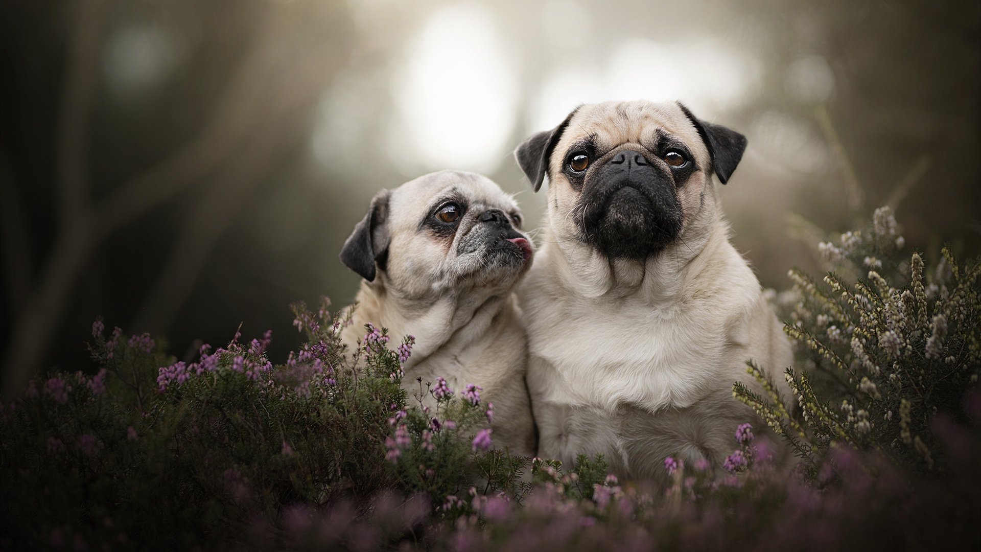广州青训体系布局加快,打造优质篮球人才培育基地,广州篮球培训学校